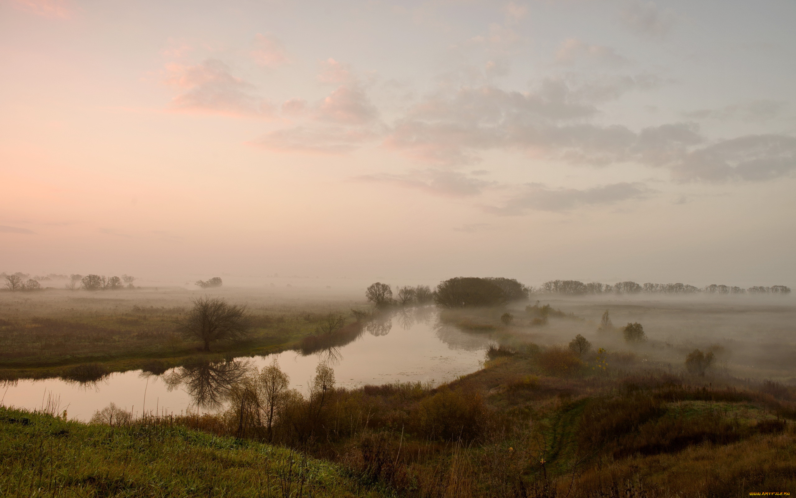 Густой туман пал на озеро кубенское впр. Река поле туман. Утро туман. Туманное утро в деревне. Туман над рекой.